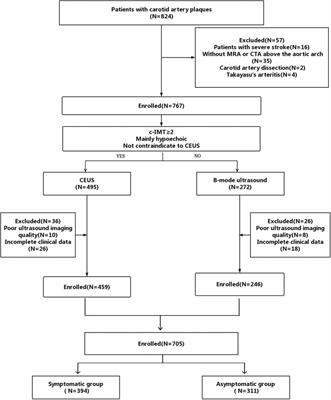 Carotid plaque score and ischemic stroke risk stratification through a combination of B-mode and contrast-enhanced ultrasound in patients with low and intermediate carotid stenosis